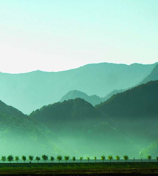 粉象生活官网首页