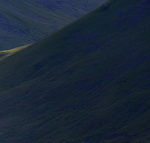 rio鸡尾酒清爽系列