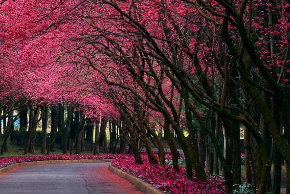 粉象生活邀请码填哪个好