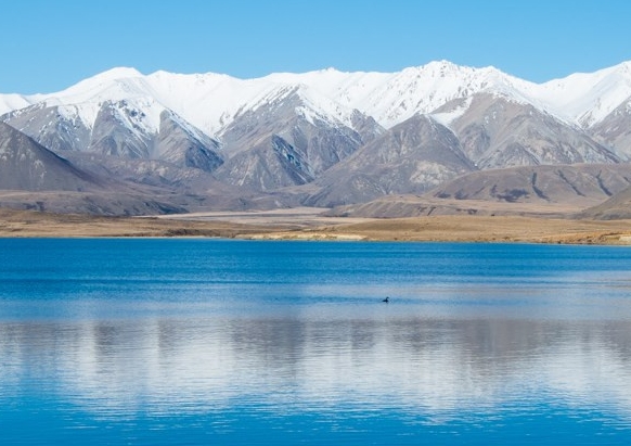 粉象生活怎么赚钱