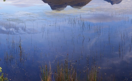 源于生活高于生活说课