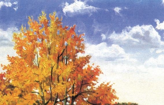 粉象生活推广规则