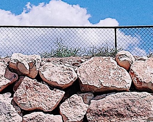 粉象生活邀请人