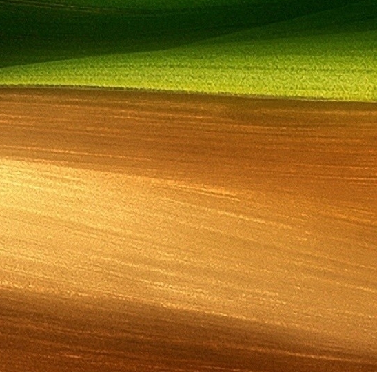 粉象生活日推广50人