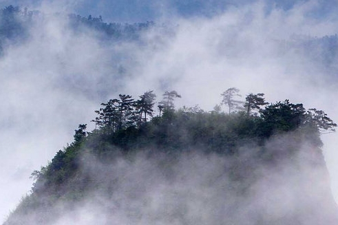 粉象生活拉一个人赚多少钱