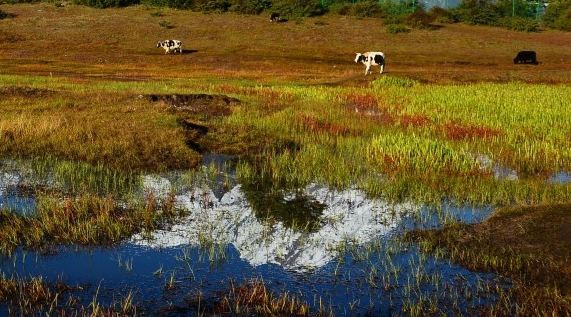 教师资格考试历年真题