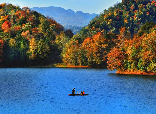 到底什么是粉象生活