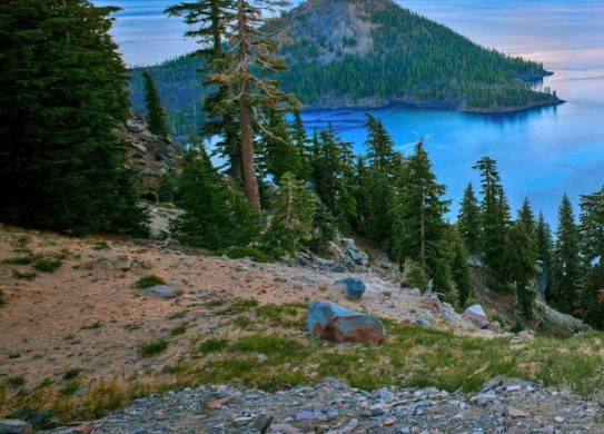 粉象生活为什么要升级vip