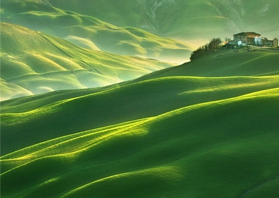 粉象生活电商如何开店