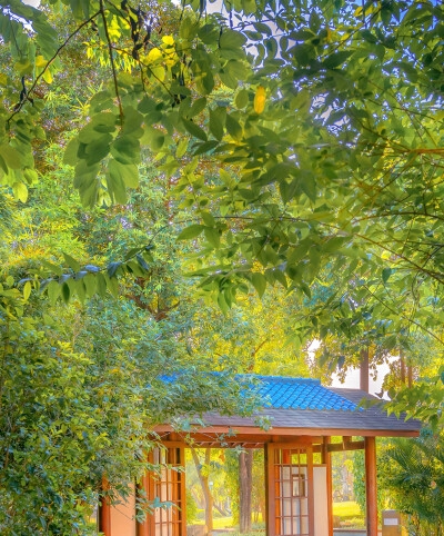 源于生活高于生活教案