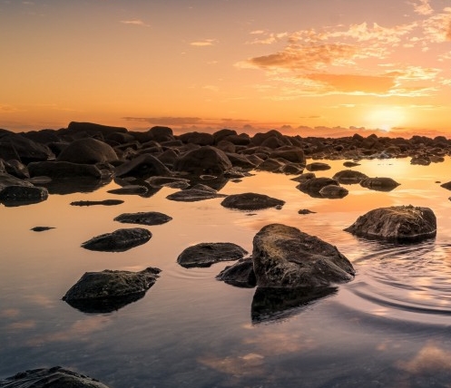 淘小圈怎么关闭