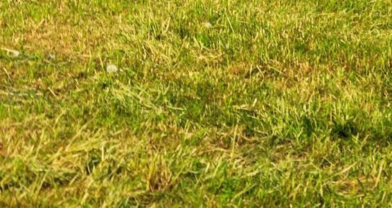 粉象生活如何推广