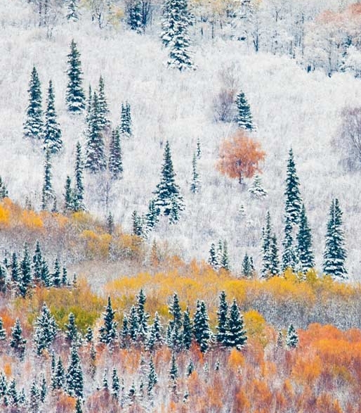 网上抢单赚钱是真是假