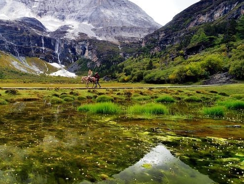 东小店为什么被叫停