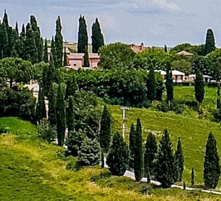 粉象生活开店怎么运营好