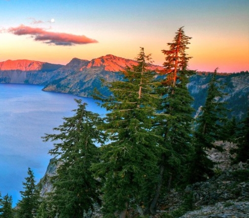 华为应用商店电脑版