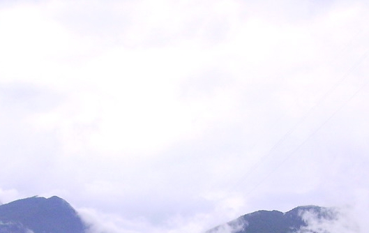 粉象生活日推广50人