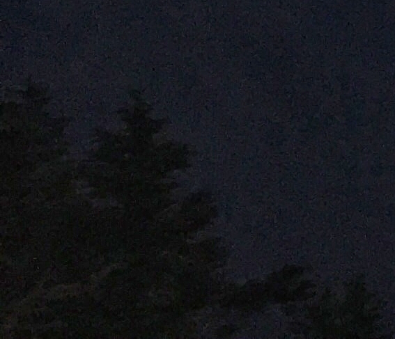 粉象生活返佣是真的吗