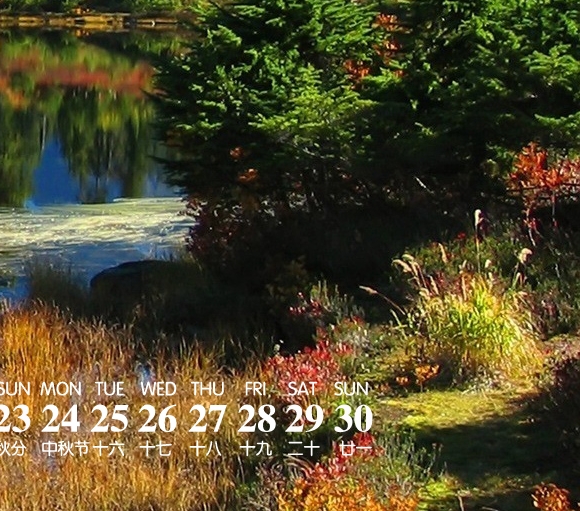 粉象生活怎么赚钱