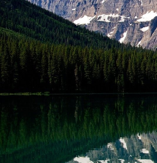 粉象生活如何购买的