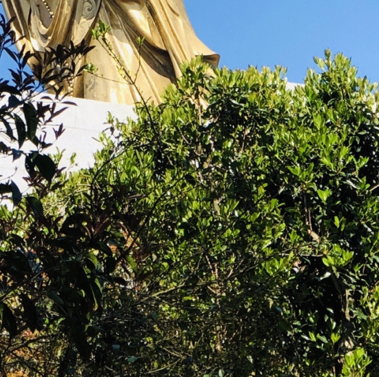 赞丽生活是骗局吗