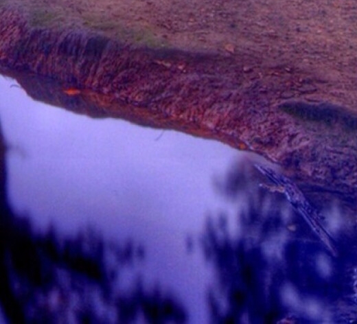 如何通过粉象查看淘宝的购物车