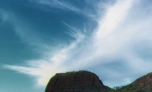 粉象生活是真的假的