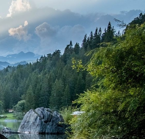 粉象生活团队加入费用