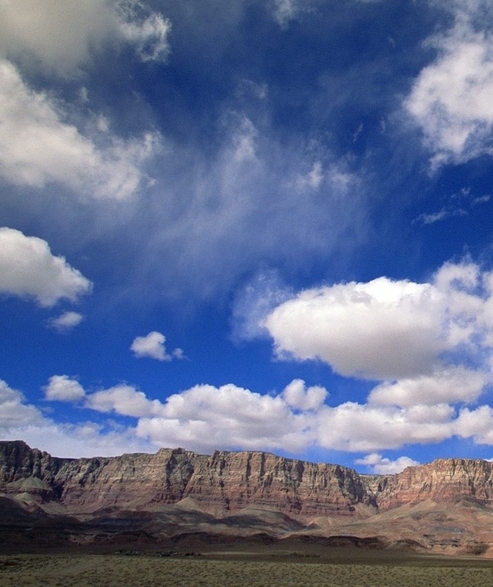 下载粉象生活安全吗