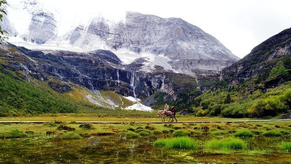 肽粉加工骗局揭秘