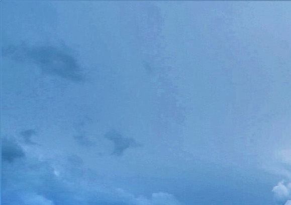 粉象生活下载官方正版