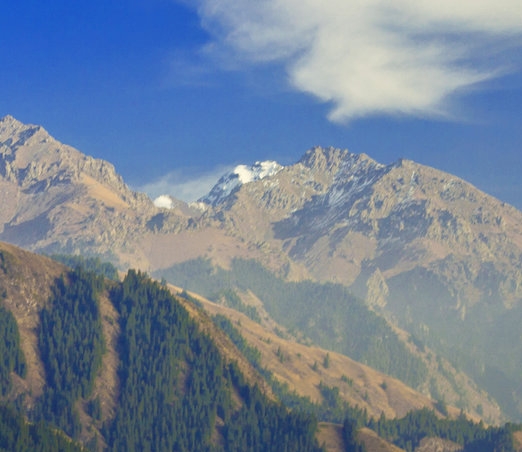 粉象生活怎么下载手机桌面