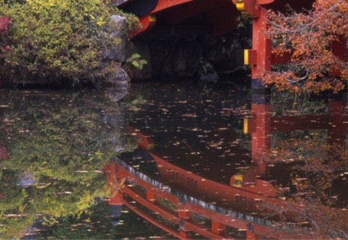 粉象生活不推广行不行