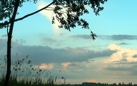 粉象生活创业骗局揭秘图片