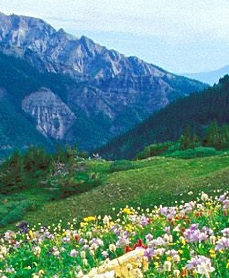 粉象生活邀请码信赖nzkwfa