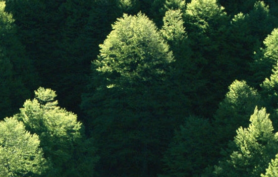 长久没有夫妻生活会出现什么问题