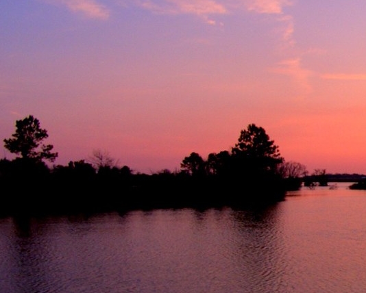粉象挣钱是真的吗