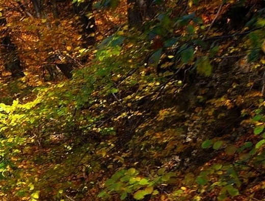 电商粉象生活怎么赚钱