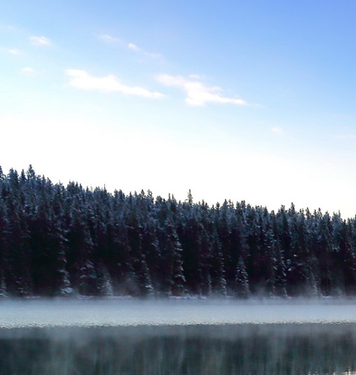 在生活中修行在修行中生活
