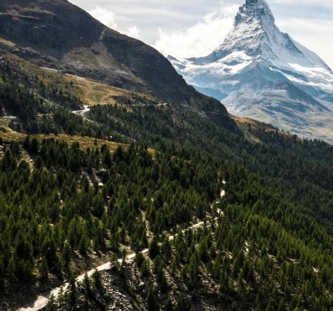 粉象生活怎么分享链接