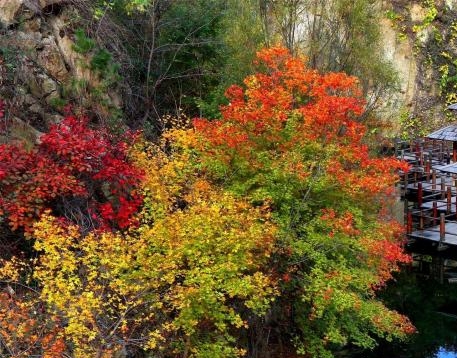 粉象生活最新版