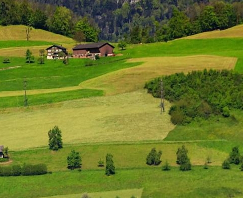 上中旬和中上旬的区别