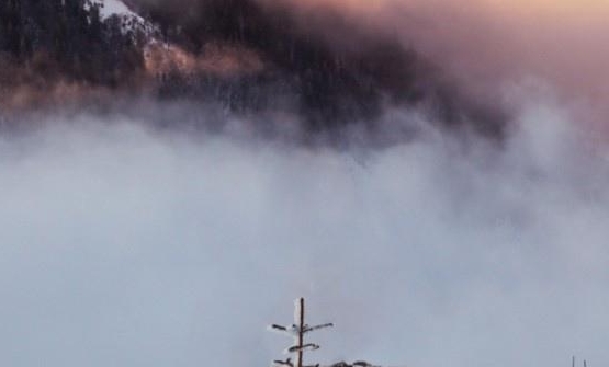 粉象生活ceo邀请码在哪