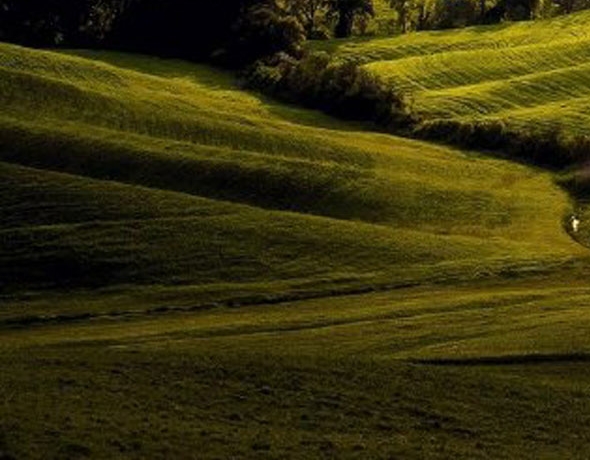 粉象生活邀请码怎么注销