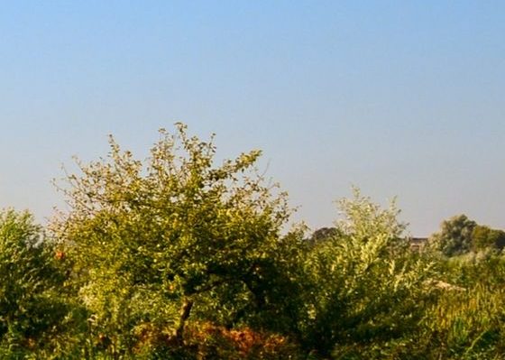 粉象生活官方APP邀请码