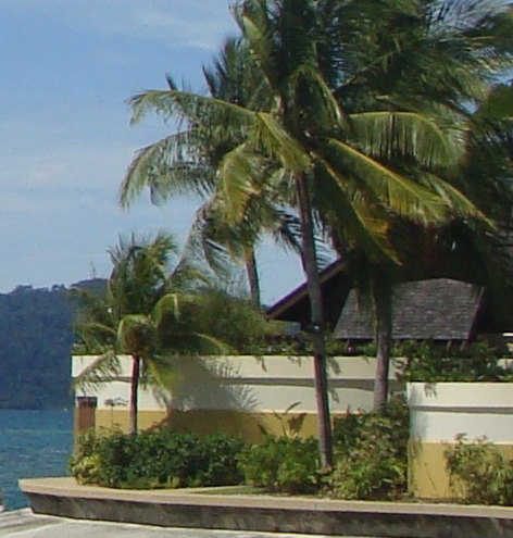 粉象生活怎么注册开店铺