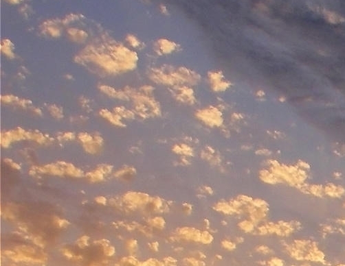 什么是生命赞礼