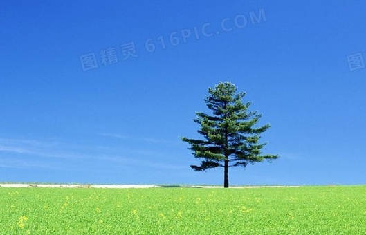 有性生活跟没有性生活