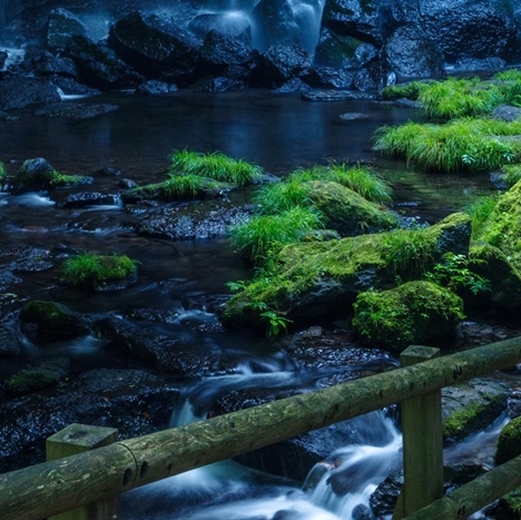 粉象生活商城好做吗