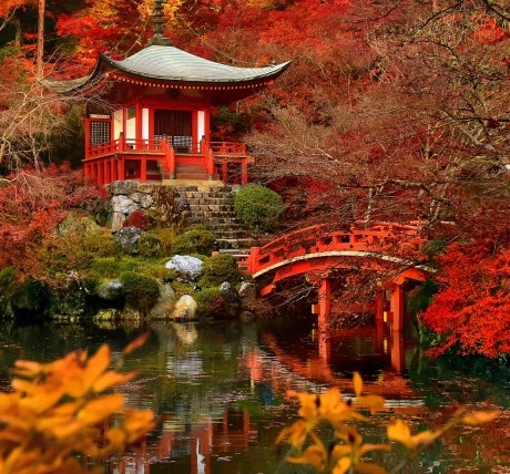 粉象生活如何赚佣金